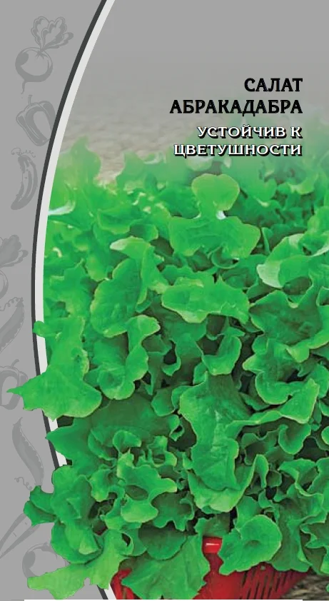 Миниатюра изображения сорта Абракадабра