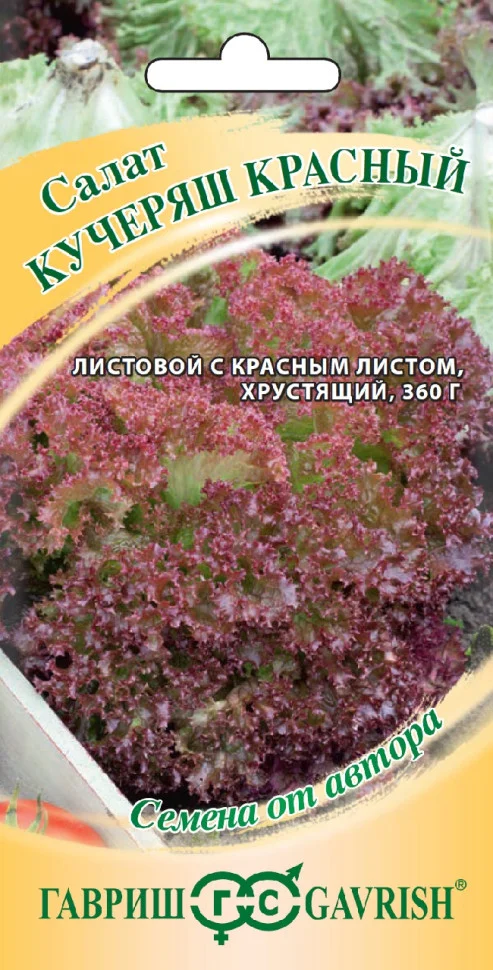 Кучеряш красный 