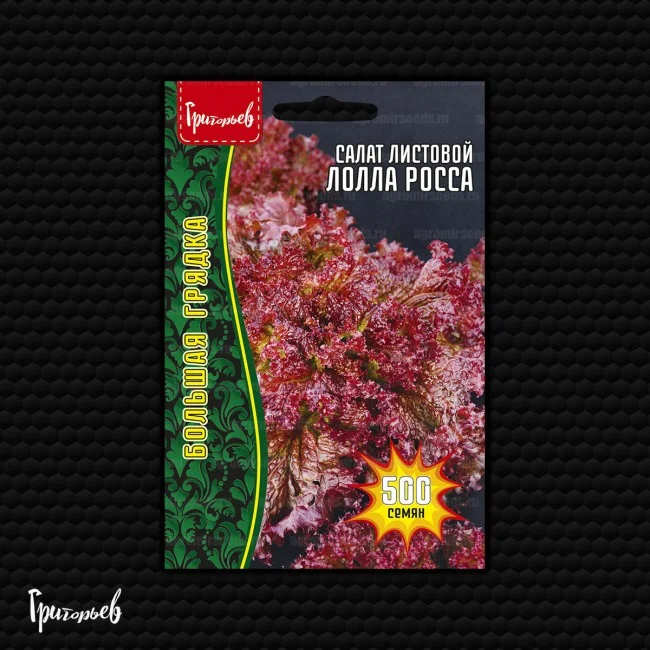 Миниатюра изображения сорта Лолла Росса