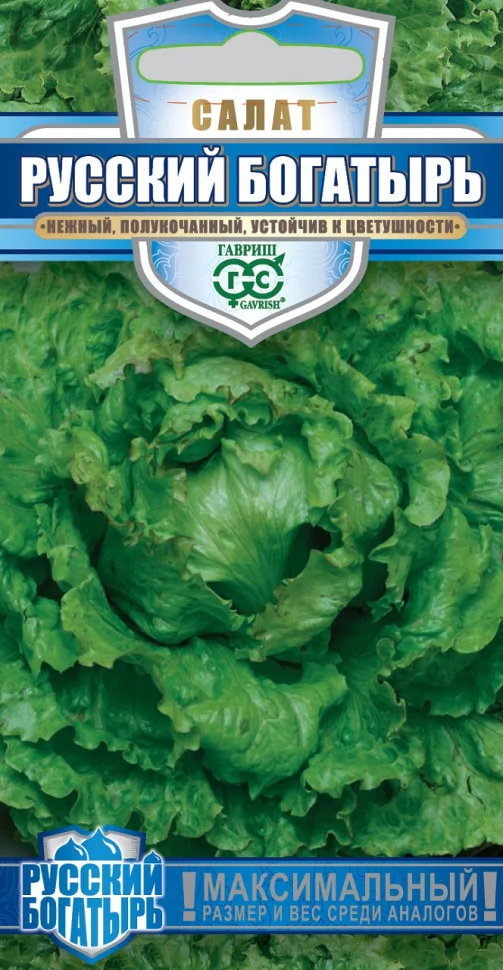 Русский богатырь гигант 