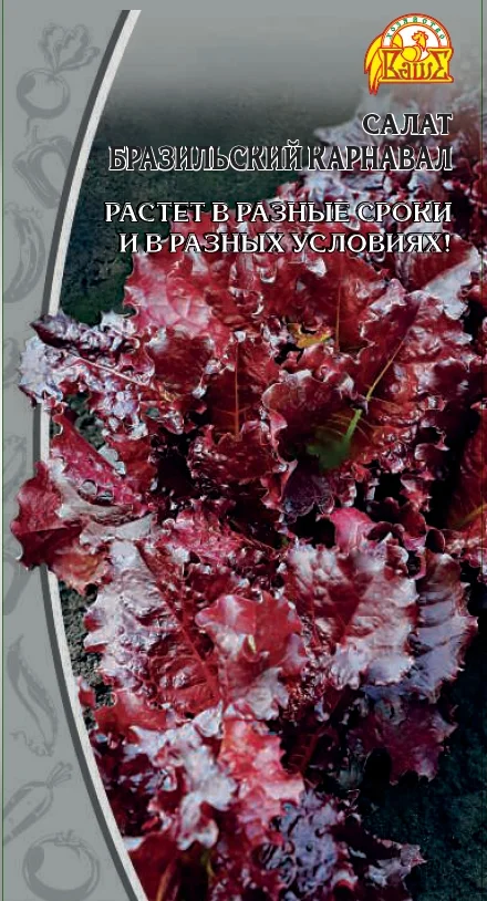 Бразильский карнавал