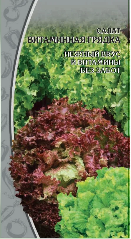 Витаминная грядка 