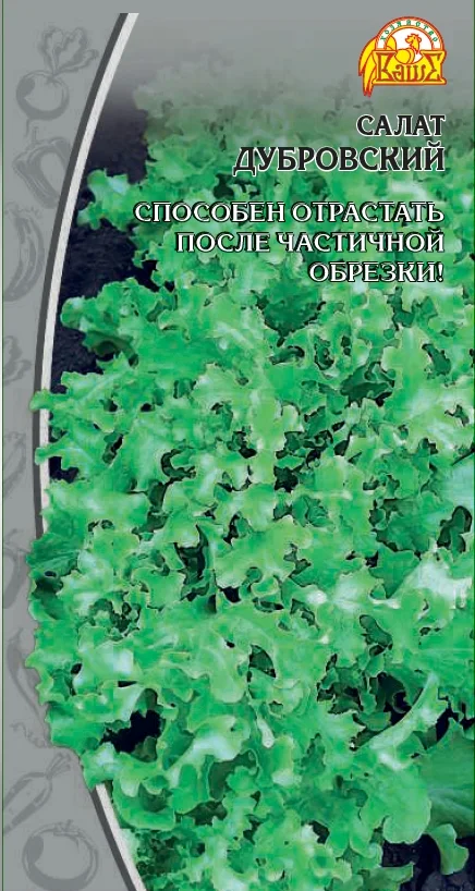 Дубровский