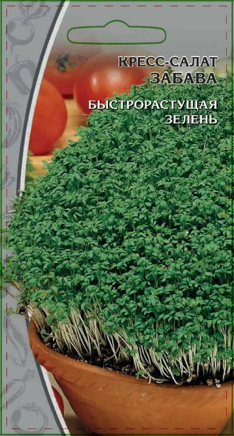 Миниатюра изображения сорта Кресс-салат Забава