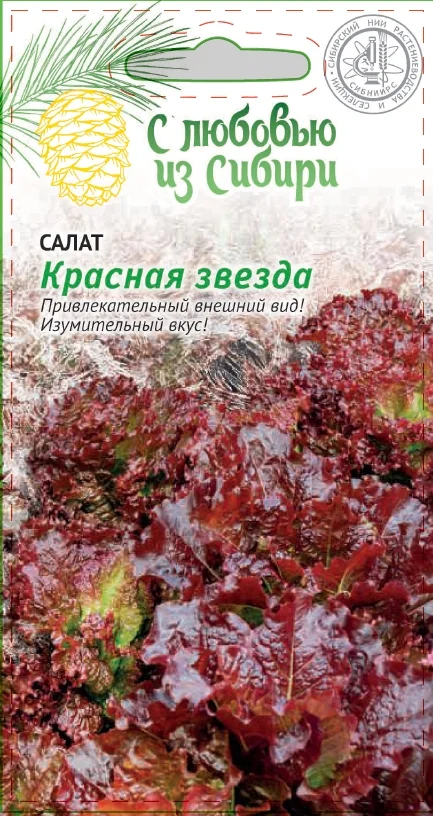 Красная звезда