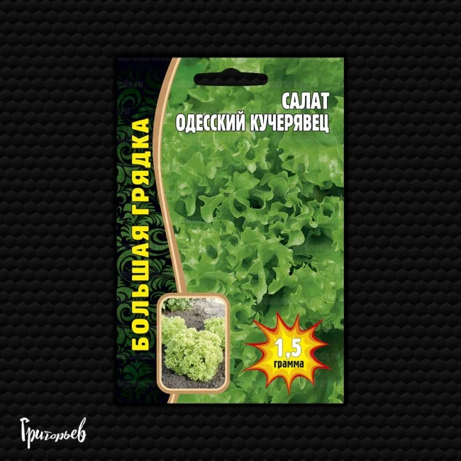 Миниатюра изображения сорта Одесский Кучерявец