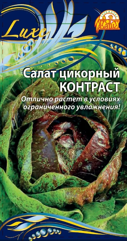 цикорный Контраст