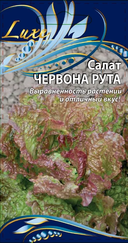 Червона рута