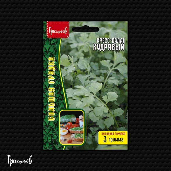 Миниатюра изображения сорта Кресс-салат Кудрявый