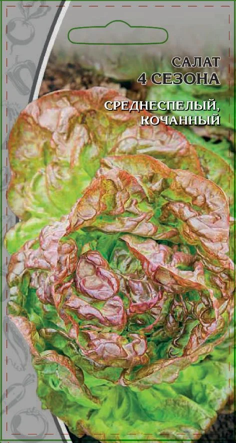 Миниатюра изображения сорта 4 сезона