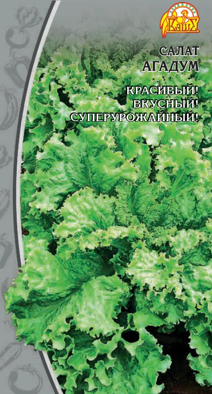 Миниатюра изображения сорта Азарт