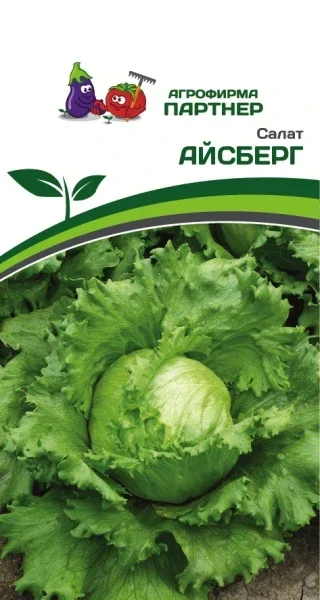 Миниатюра изображения сорта Айсберг