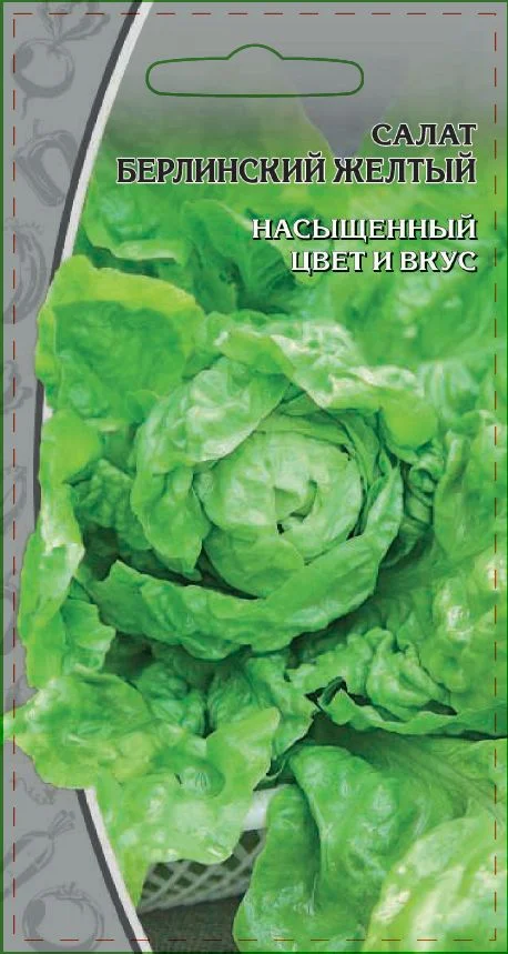 Миниатюра изображения сорта Берлинский желтый