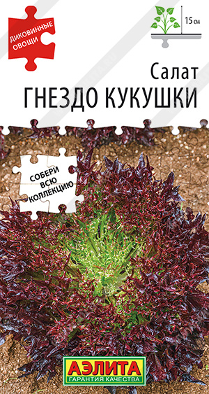 Гнездо кукушки