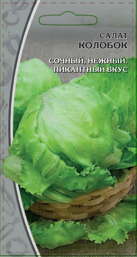 Миниатюра изображения сорта Колобок