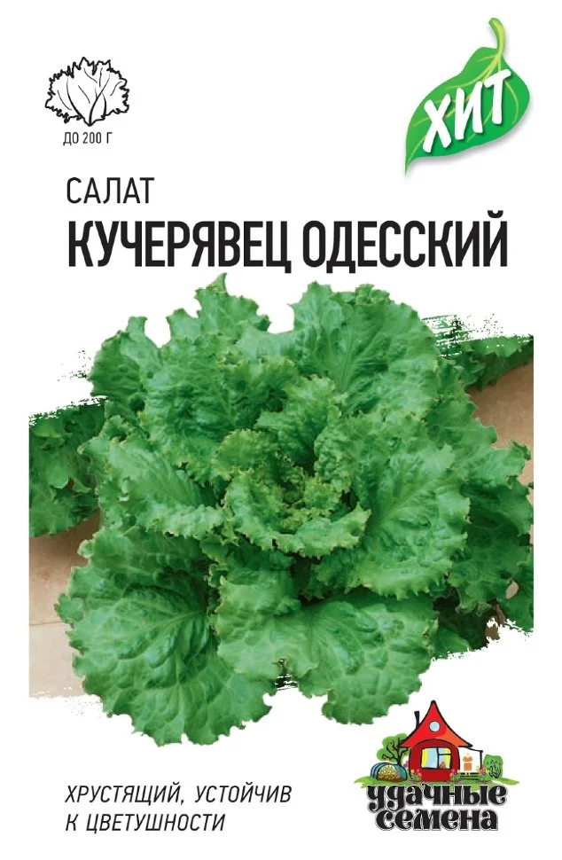 Миниатюра изображения сорта Кучерявец Одесский