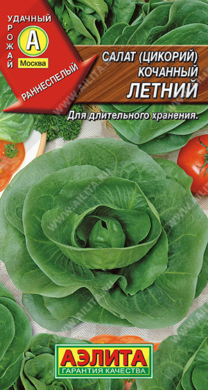 Летний кочанный