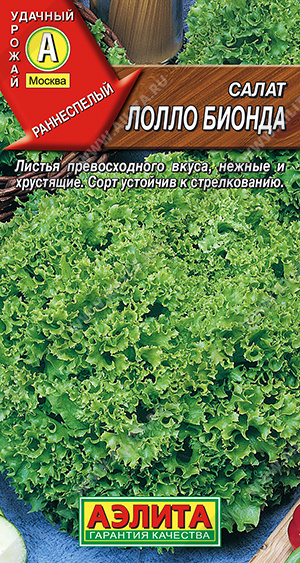 Лолло Бионда