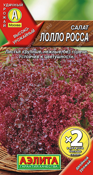 Лолло Росса