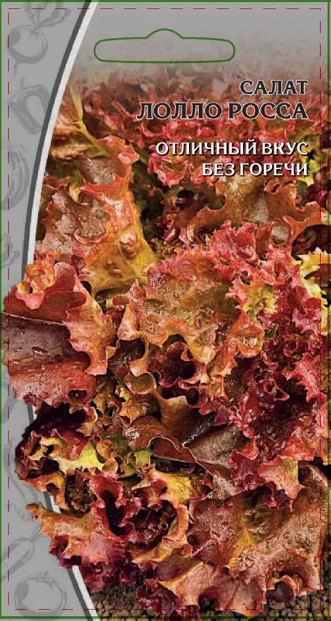 Миниатюра изображения сорта Лолло Росса