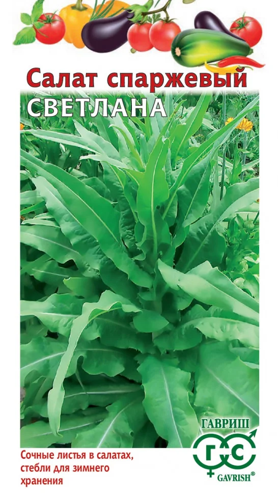 Миниатюра изображения сорта Светлана спаржевый