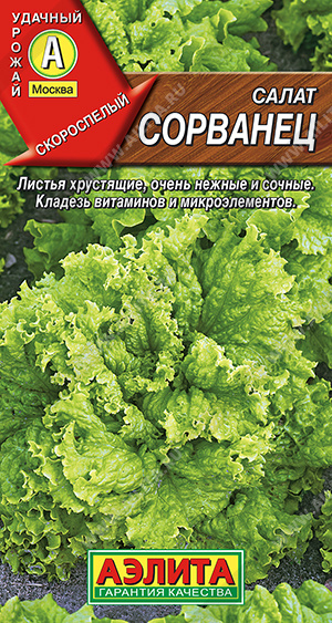 Сорванец листовой