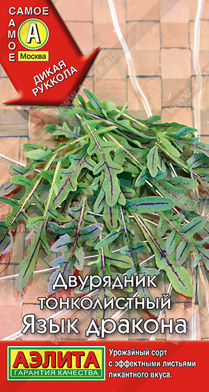 Язык дракона