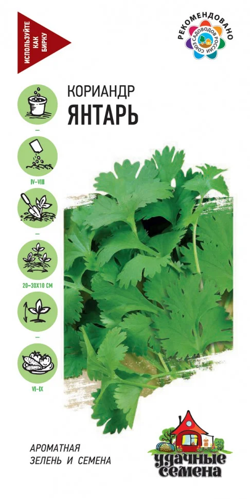 Миниатюра изображения сорта Янтарь