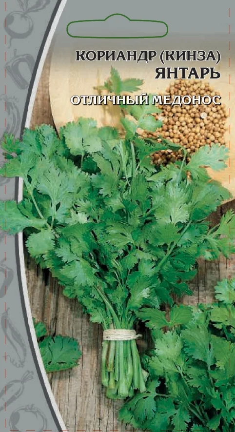 Миниатюра изображения сорта Янтарь