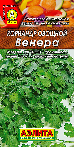 Венера