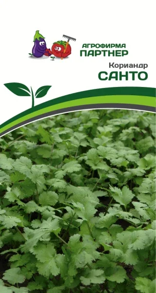 Миниатюра изображения сорта Санто