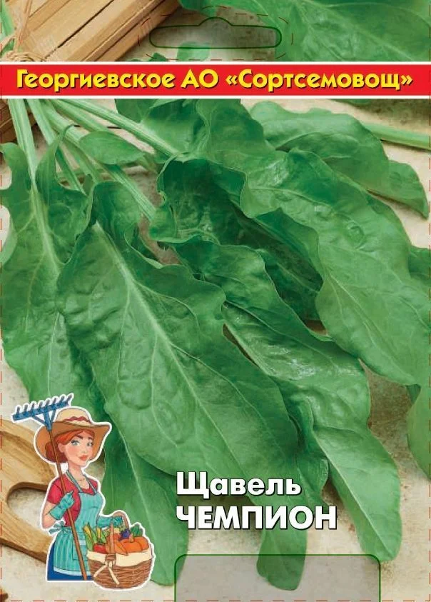 Миниатюра изображения сорта Чемпион