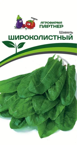 Миниатюра изображения сорта Широколистный