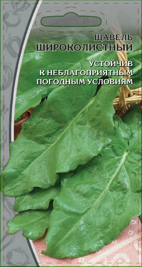 Миниатюра изображения сорта Широколистный