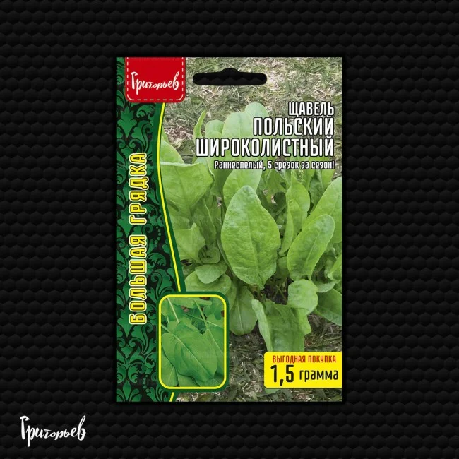 Польский Широколистный