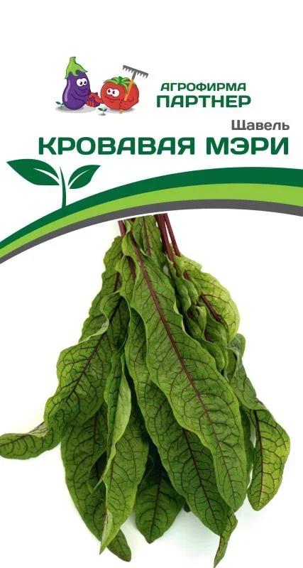 Миниатюра изображения сорта Кровавая Мэри с красными прожилками