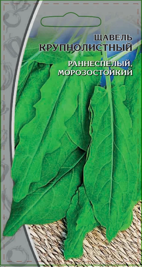 Миниатюра изображения сорта Крупнолистный