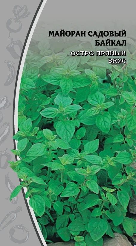 Миниатюра изображения сорта Байкал