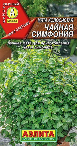 Чайная симфония