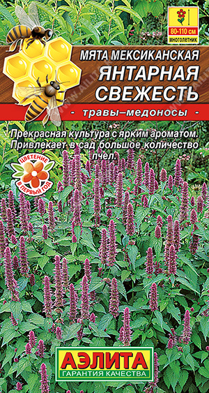 Янтарная свежесть