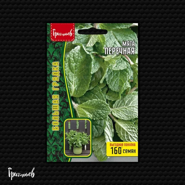 Миниатюра изображения сорта Перечная