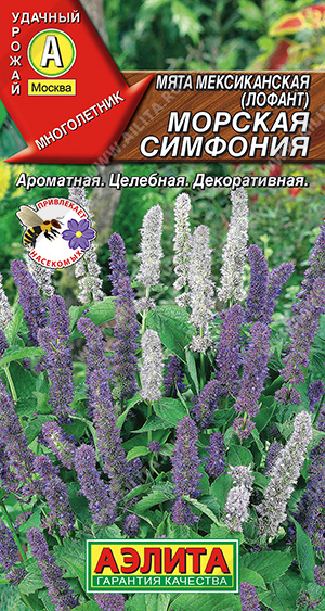 Морская симфония