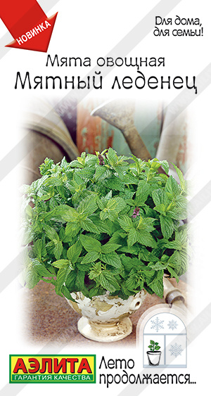 Мятный леденец