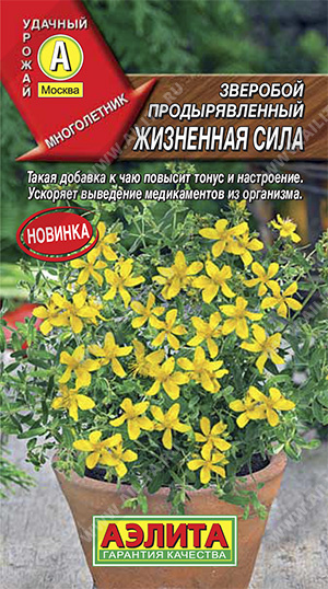 Жизненная сила