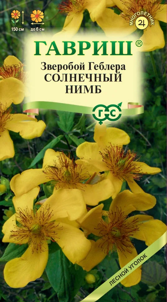 Геблера Солнечный нимб