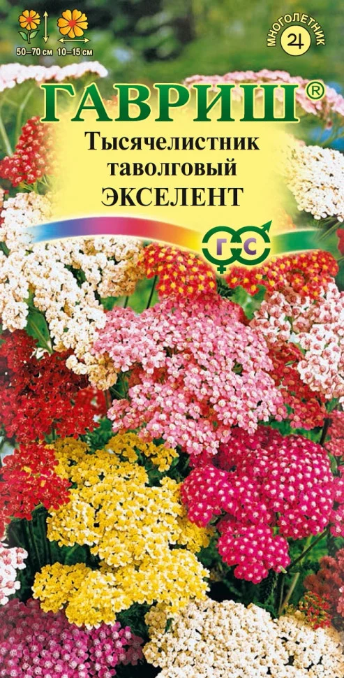 Экселент
