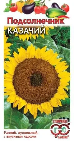 Миниатюра изображения сорта Казачий