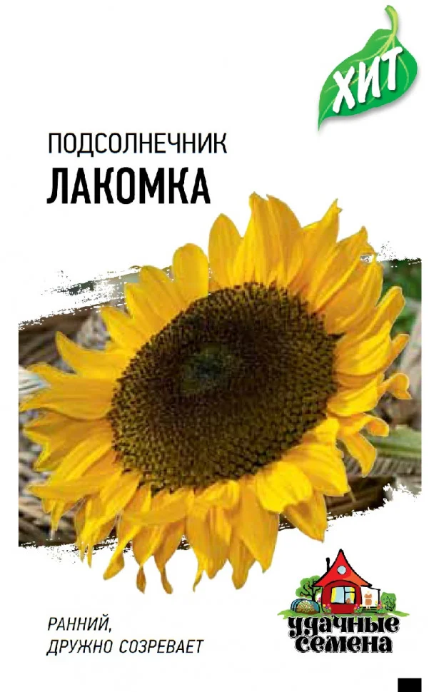 Миниатюра изображения сорта Лакомка