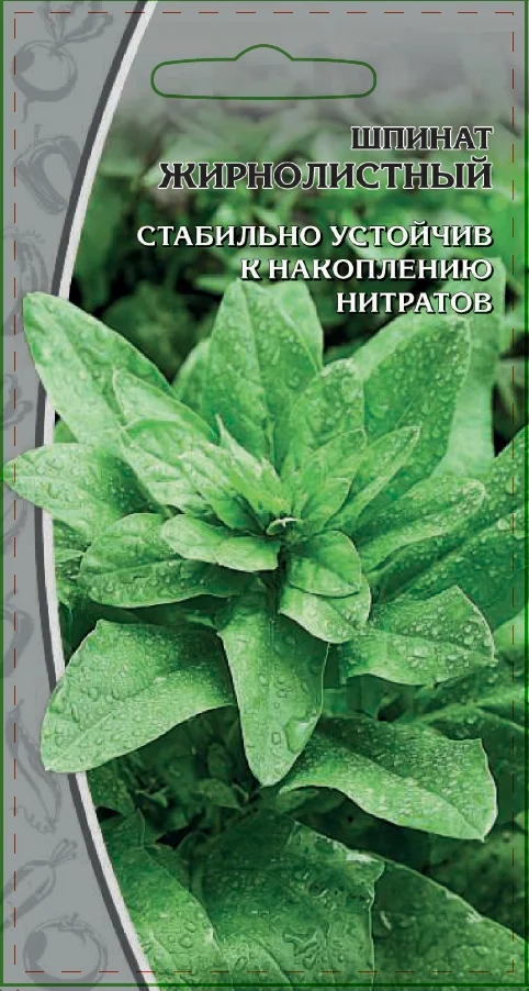 Миниатюра изображения сорта Жирнолистный