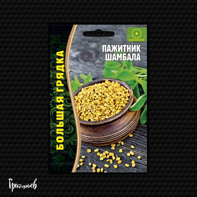 Миниатюра изображения сорта Шамбала